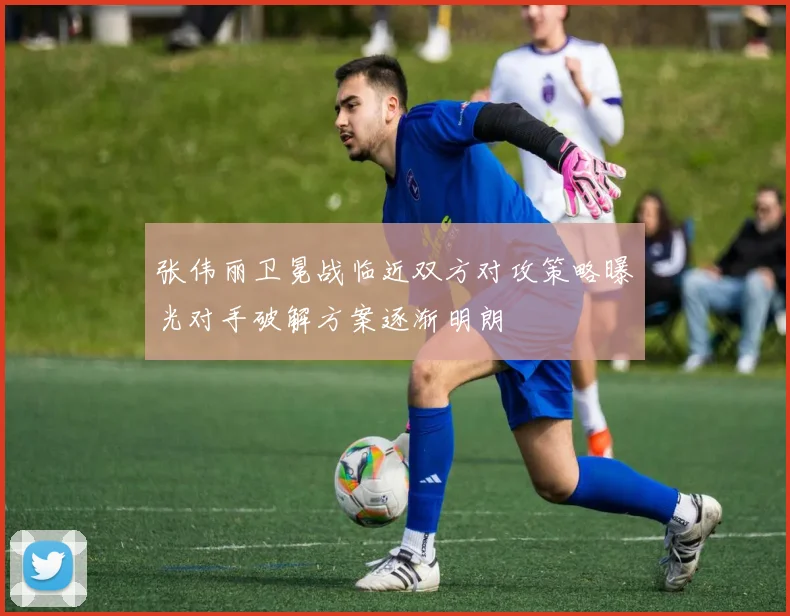 张伟丽卫冕战临近双方对攻策略曝光对手破解方案逐渐明朗