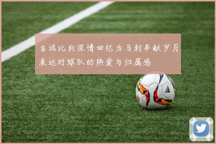 吉诺比利深情回忆为马刺奉献岁月表达对球队的热爱与归属感
